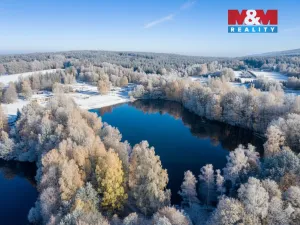 Prodej rybníku, Nové Město pod Smrkem, 28832 m2