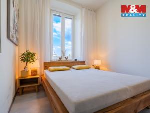 Prodej bytu 3+1, Vyskytná nad Jihlavou, 129 m2