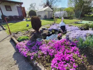 Prodej zahrady, Obrnice - České Zlatníky, 395 m2