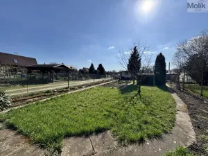 Prodej zahrady, Obrnice - České Zlatníky, 395 m2
