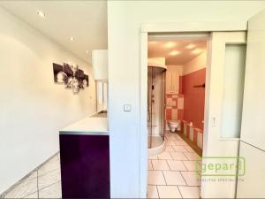 Pronájem bytu 2+1, Děčín, Školní, 60 m2