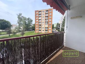 Pronájem bytu 2+1, Děčín, Školní, 60 m2