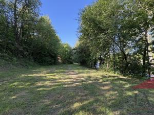 Prodej louky, Sušice, 1985 m2