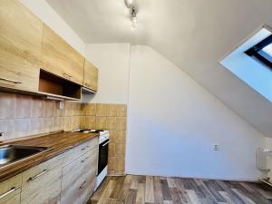 Pronájem bytu 1+1, Ostrava, Na Můstku, 48 m2