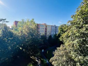 Pronájem bytu 1+1, Ostrava, Na Můstku, 48 m2