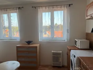 Prodej rodinného domu, Trmice, U Mlýnského potoka, 400 m2