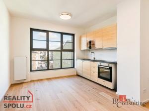 Pronájem bytu 1+kk, Brno - Zábrdovice, Bratislavská, 24 m2