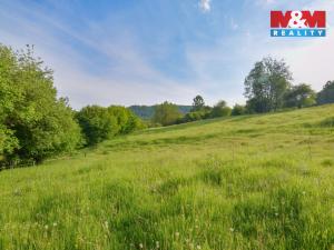 Prodej chalupy, Starý Šachov, 100 m2