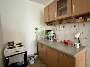 Prodej bytu 2+kk, Krupka - Maršov, Dukelských hrdinů, 40 m2