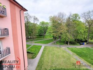 Prodej bytu 3+1, Litvínov - Horní Litvínov, U Zámeckého parku, 59 m2