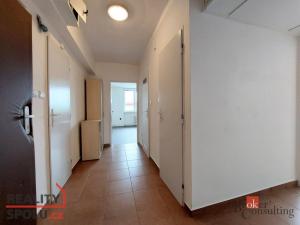Prodej bytu 3+1, Litvínov - Horní Litvínov, U Zámeckého parku, 59 m2