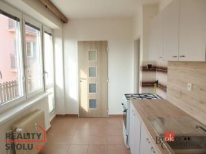 Prodej bytu 3+1, Litvínov - Horní Litvínov, U Zámeckého parku, 59 m2