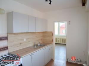 Prodej bytu 3+1, Litvínov - Horní Litvínov, U Zámeckého parku, 59 m2