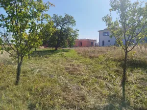 Prodej zahrady, Velké Pavlovice, 449 m2