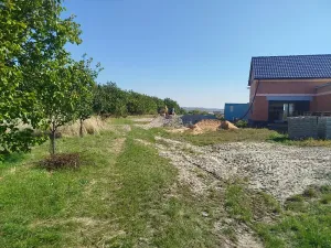Prodej zahrady, Velké Pavlovice, 449 m2