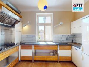Pronájem bytu 5+kk, Plzeň, Plzenecká, 175 m2