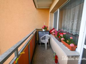 Pronájem bytu 2+kk, Brno, Švermova, 48 m2