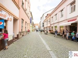 Pronájem bytu 1+1, Rakovník, Nádražní, 48 m2
