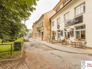 Pronájem bytu 1+1, Rakovník, Nádražní, 48 m2
