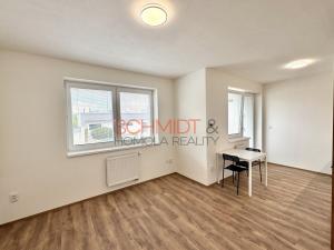 Pronájem bytu 1+kk, Hustopeče, Alejní, 30 m2