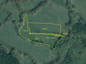 Dražba louky, Ždírec, 26461 m2