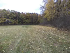 Dražba louky, Ždírec, 26461 m2