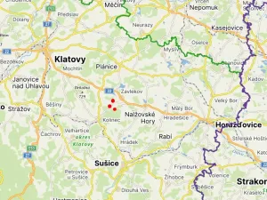Prodej lesa, Kolinec, 5322 m2