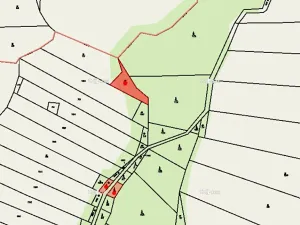 Prodej lesa, Kolinec, 5322 m2