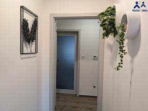 Prodej rodinného domu, Račice-Pístovice - Pístovice, 245 m2