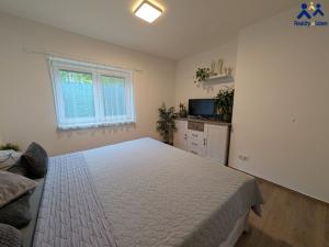 Prodej rodinného domu, Račice-Pístovice - Pístovice, 245 m2