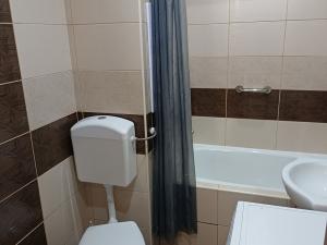 Pronájem bytu 1+1, Frýdek-Místek, Jaroslava Lohrera, 29 m2