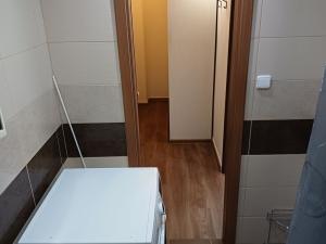 Pronájem bytu 1+1, Frýdek-Místek, Jaroslava Lohrera, 29 m2