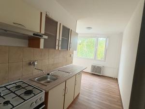 Pronájem bytu 1+1, Duchcov, V Domkách, 44 m2