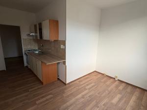 Pronájem bytu 1+1, Duchcov, V Domkách, 44 m2