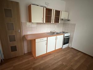 Pronájem bytu 1+1, Bílina, Síbova, 41 m2