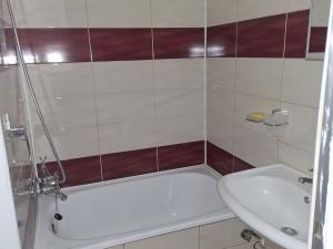 Pronájem bytu 1+1, Bílina, Síbova, 41 m2