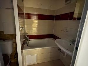 Pronájem bytu 1+1, Bílina, Síbova, 41 m2