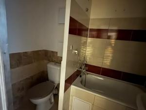 Pronájem bytu 1+1, Bílina, Síbova, 41 m2
