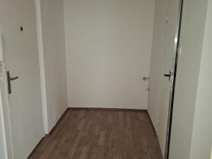 Pronájem bytu 1+1, Bílina, Síbova, 41 m2