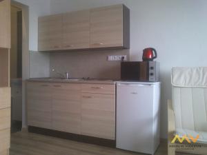 Pronájem bytu 1+kk, Hradec Králové - Nový Hradec Králové, Brožíkova, 35 m2