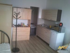 Pronájem bytu 1+kk, Hradec Králové - Nový Hradec Králové, Brožíkova, 35 m2