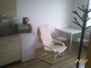 Pronájem bytu 1+kk, Hradec Králové - Nový Hradec Králové, Brožíkova, 35 m2