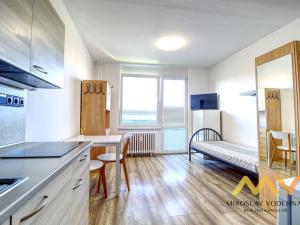 Pronájem bytu 1+kk, Hradec Králové - Nový Hradec Králové, Brožíkova, 22 m2