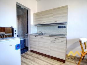 Pronájem bytu 1+kk, Hradec Králové - Nový Hradec Králové, Brožíkova, 22 m2