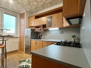Pronájem bytu 3+1, Ostrava - Zábřeh, Bedrnova, 64 m2