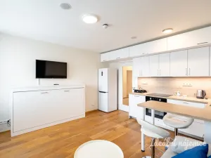 Pronájem bytu 1+kk, Praha - Vinohrady, Perucká, 26 m2