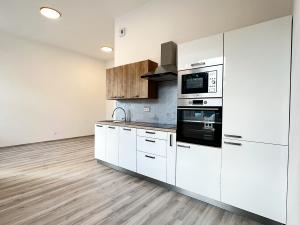 Pronájem bytu 1+kk, Kralupy nad Vltavou, S. K. Neumanna, 31 m2