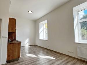 Pronájem bytu 1+kk, Kralupy nad Vltavou, S. K. Neumanna, 31 m2