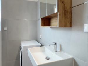 Pronájem bytu 1+kk, Kralupy nad Vltavou, S. K. Neumanna, 31 m2