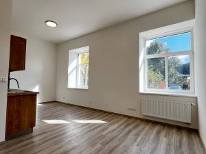 Pronájem bytu 1+kk, Kralupy nad Vltavou, S. K. Neumanna, 31 m2